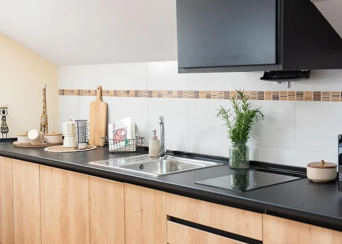 Eras Centro Appartement